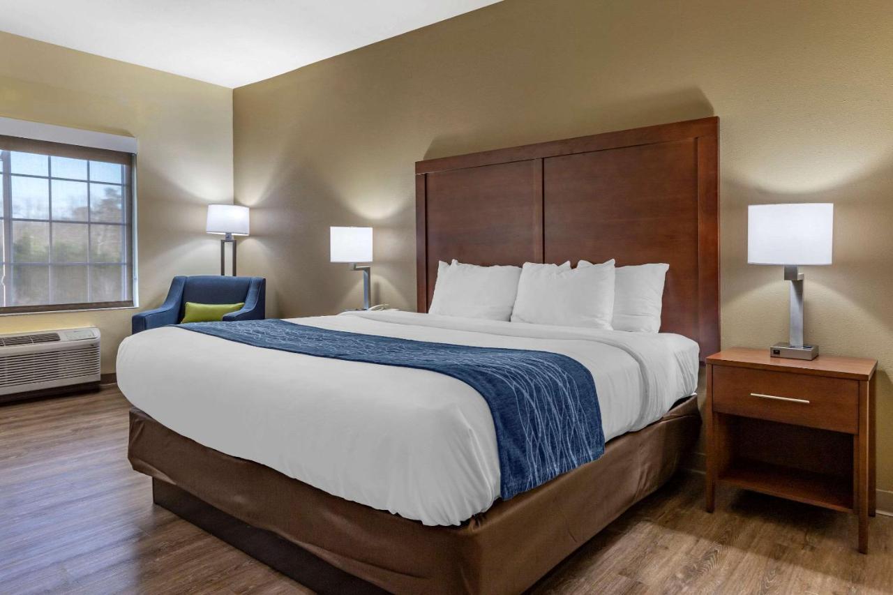 Comfort Inn & Suites High Point - Archdale Ngoại thất bức ảnh