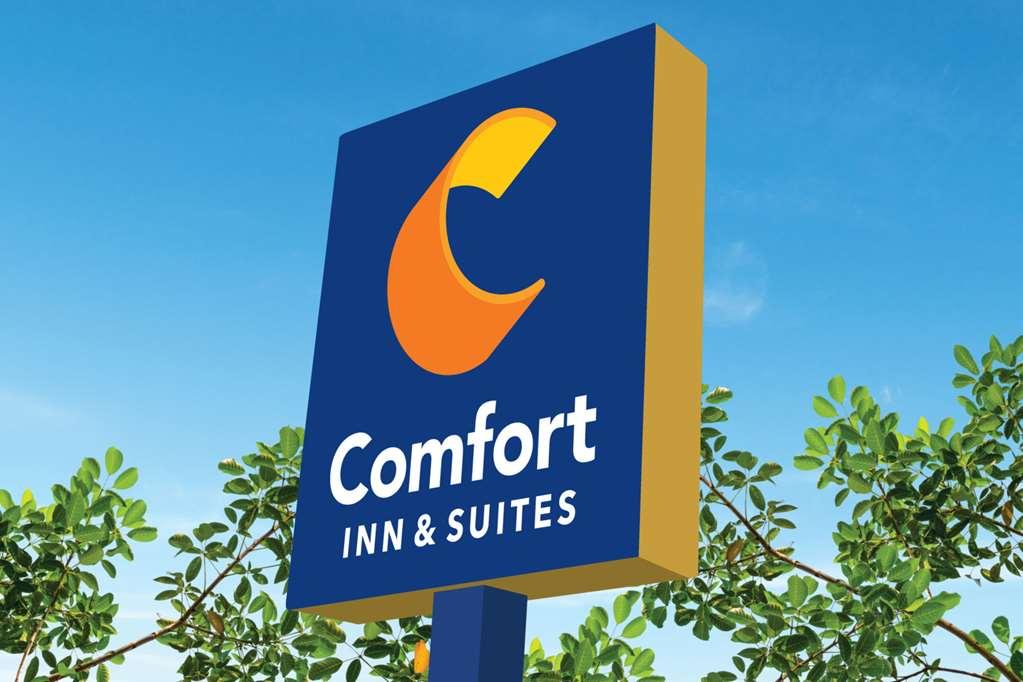 Comfort Inn & Suites High Point - Archdale Ngoại thất bức ảnh